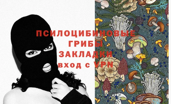 прущие грибы Абаза