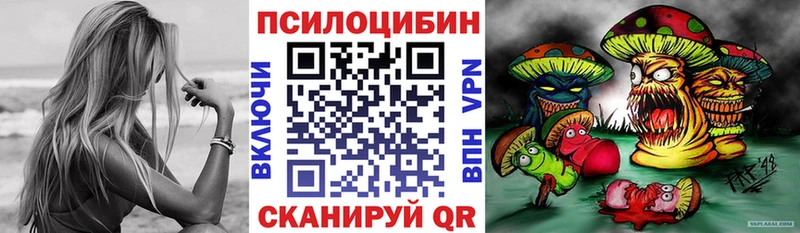 где можно купить наркотик Собинка Псилоцибиновые грибы Magic Shrooms